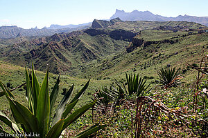 Blick Richtung Pico d' Antonia