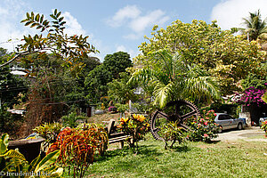 Genesis Nature Park auf Tobago