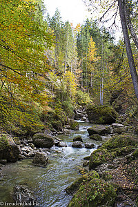 Wanderung auf dem Ostertaler Tobelweg