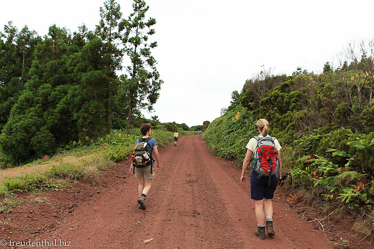 Wanderung von Capelo auf den Cabeco Verde