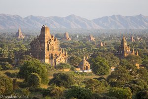 Tempelfeld von Bagan beim Sonnenuntergang