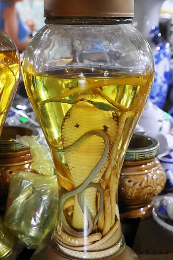 in Schnaps eingelegte Schlangen in der Süßigkeitenwerkstatt Neun Drachen