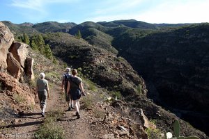 Wanderweg am Barranco del Pozo oberhalb El Jaral
