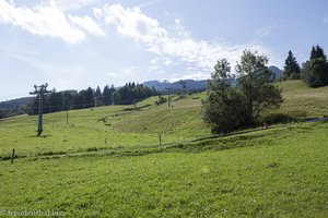 Die längste Sommerrodelbahn im Allgäu am Alpspitz