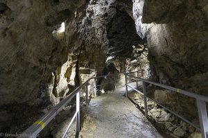 Die Sontheimer Höhle - Winterquartier für Fledermäuse