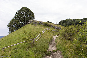 Auf den Gipfel des Jusenbergs