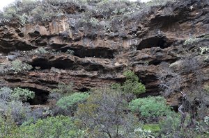Natürliche Höhlen in der Schlucht von Buracas.