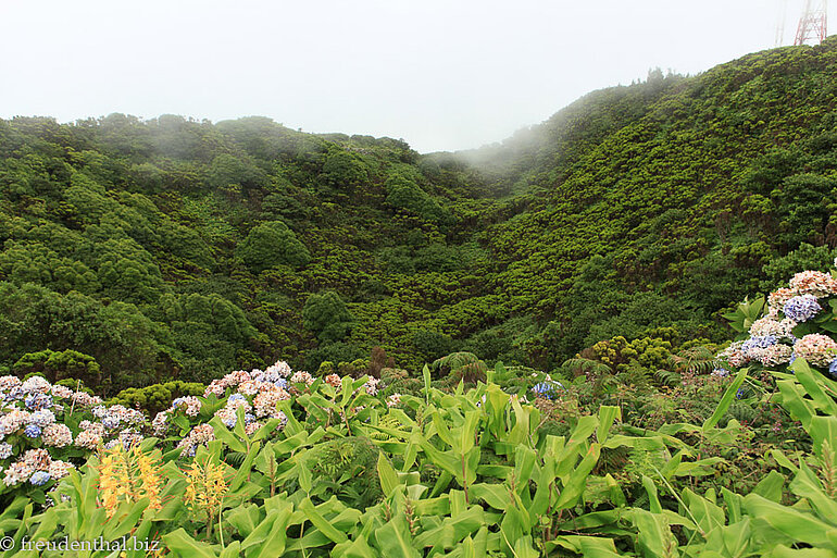 Krater des Cabeco Verde auf Faial