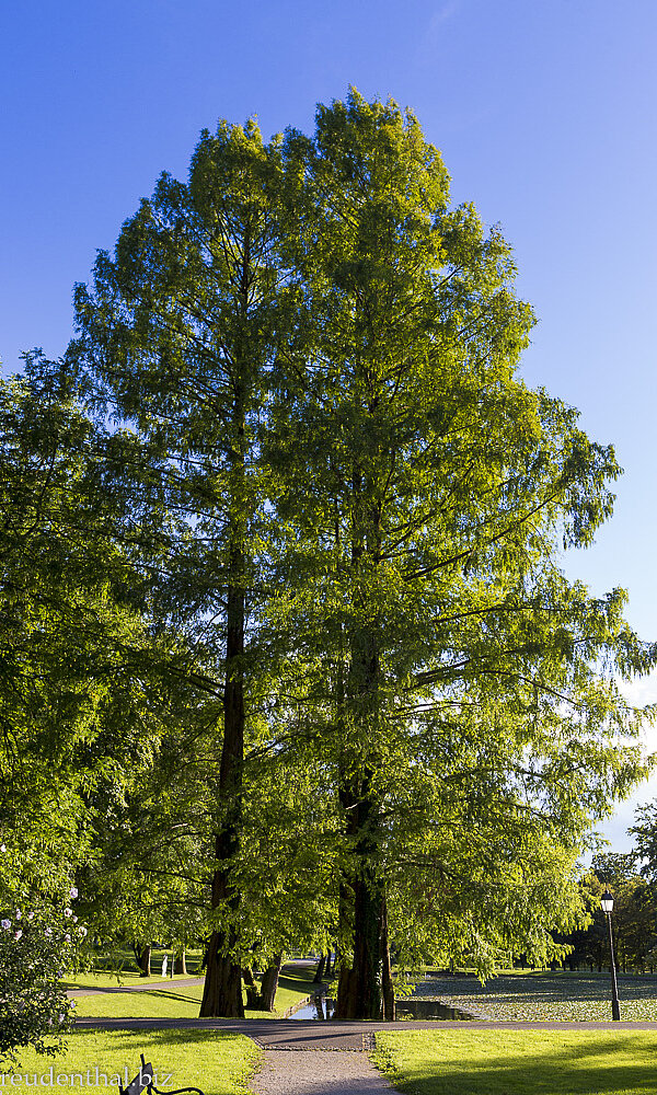 Ausflug zum Landgut Brdo