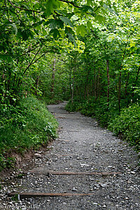 Wanderweg auf den Hohen Kasten