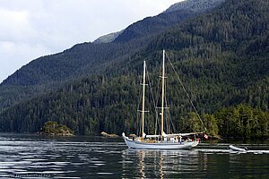 Motorsegler bei Telegraph Cove