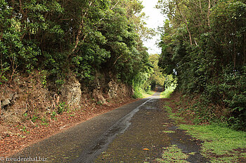 Hohlweg von Ribeirinha nach Espalhafatos