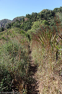 Wanderung von Serra nach Osten