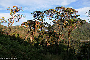 Blick zum umliegenden Bergland des Adams Peak