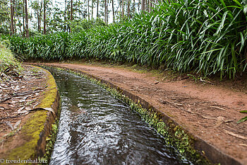 Entlang der Levada do Rei