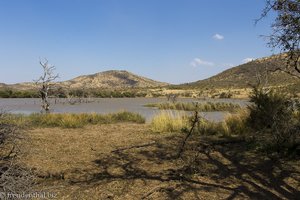 Malatse Dam in Pilanesberg