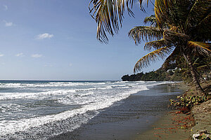 Hope Bay auf Tobago