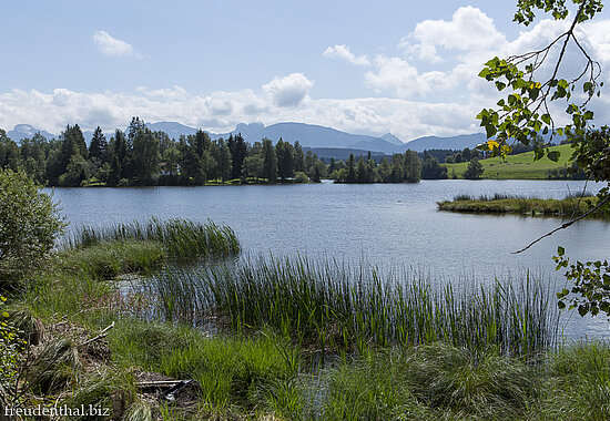 Der Schwaltenweiher bei Seeg
