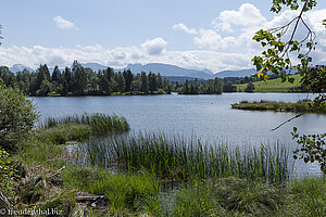 Schwaltenweiher