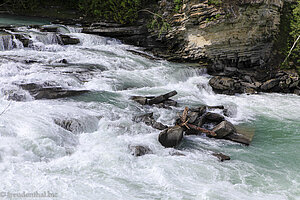 Rearguard Falls