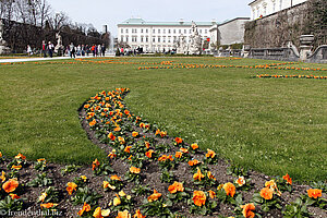 Blick über den Mirabellgarten zum Schloss