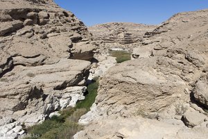 beim Wadi Ayun im Oman