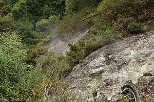 Schwefeldampf an einem Hang bei Furnas