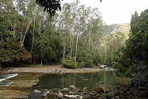 Black River mit Niedrigwasser