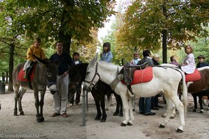 Ponyreiten im Tuilerien-Garten