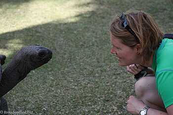 Annette und die Schildkröte (schon wieder)