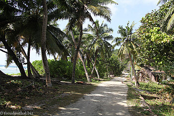 Radweg zur Anse Fourmis