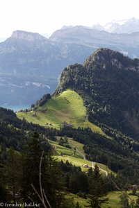Grat der Rigi-Scheidegg