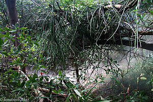 Die erste stinkende Fumarole im Nationalpark Rincon de la Vieja