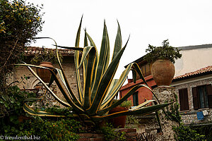 in Taormina