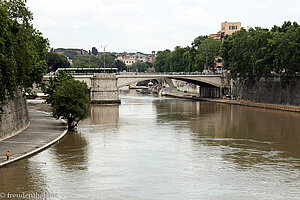 Tiber - nach dem Regen ist das Wasser trüb