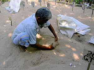 Fernando bei der Turtle Hatchery Kosgoda