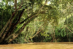 herrliche Flusslandschaft im Langhaus-Resort von Sarawak