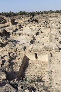 in der Ausgrabungsstätte Al Baleed im Oman