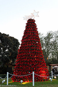 Weihnachsstern-Pyramide im Seaport Village