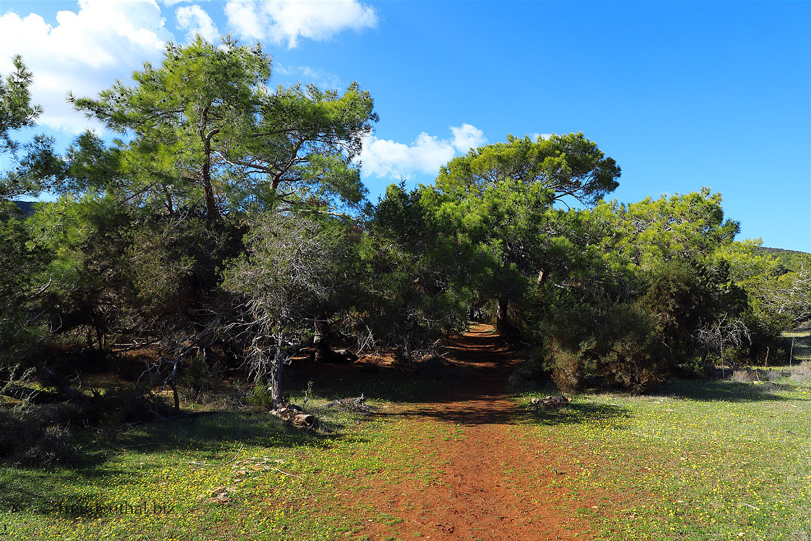 Wanderung auf dem Aphrodite-Trail auf Zypern