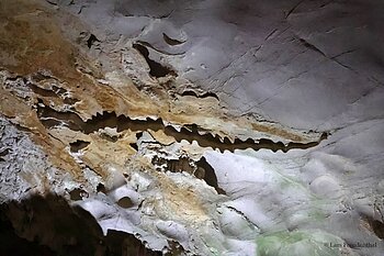 Krokodil-Stalaktit in der Hang Sửng Sốt (Überraschungshöhle)