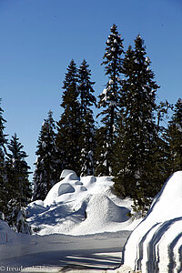 tief verschneite Winterlandschaft im Kings Canyon Nationalpark