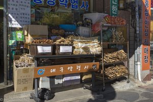 Wurzelzeugs beim chinesischen Heilkräutermarkt von Daegu