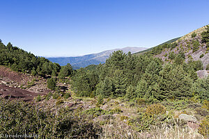 nahe der Festungsanlage Santa Creu de Llagunes