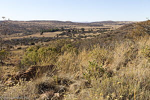 Aussicht über die Landschaft des Vredefort Dome in Südafrika