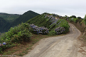 Straße und Wanderweg am Rand der Caldeira das Sete Cidades