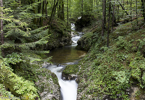 Wanderung Mostnica Gorge
