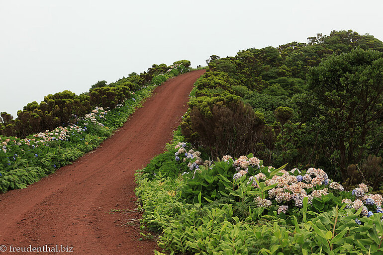 Rundweg um die Caldeira des Cabeco Verde