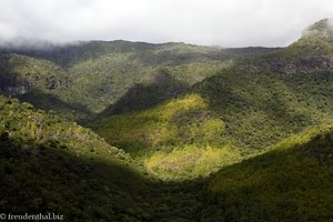 Aussicht über den Regenwald von Mauritius