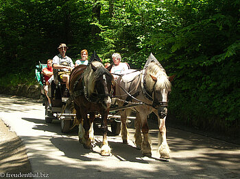 Kutschfahrt zum Schloss Neuschwanstein
